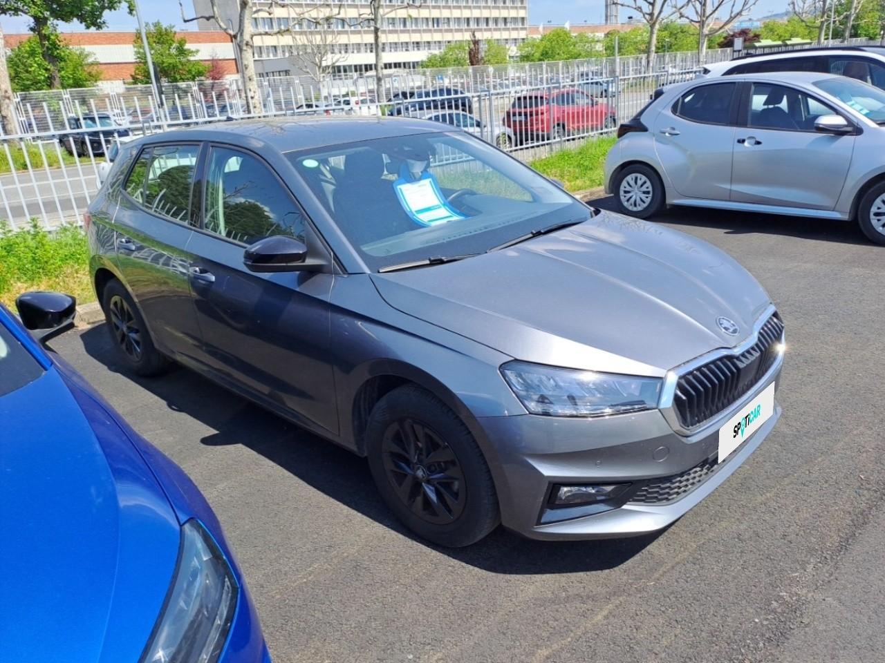 Skoda Skoda Fabia usata 14