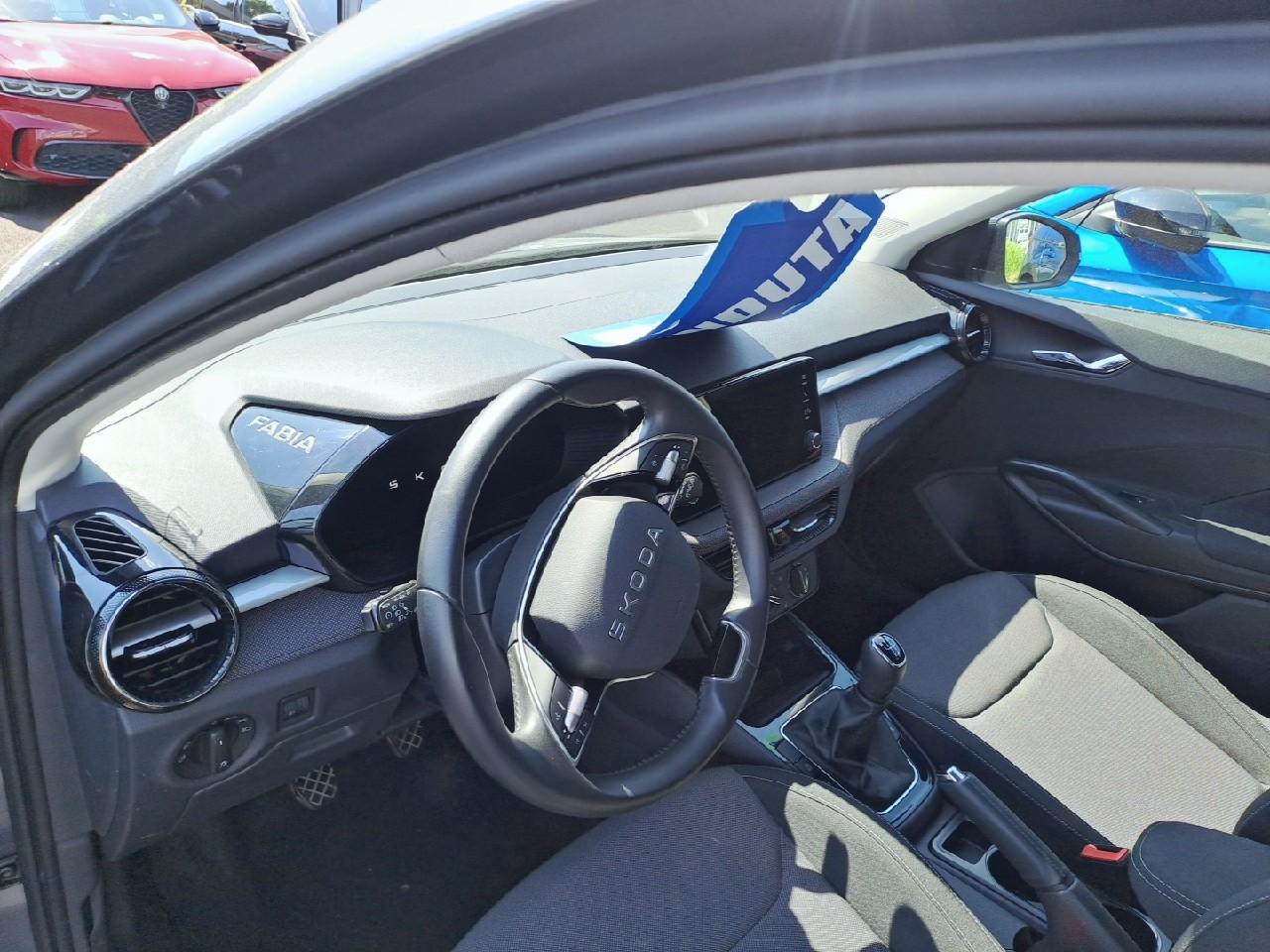 Skoda Skoda Fabia usata 19