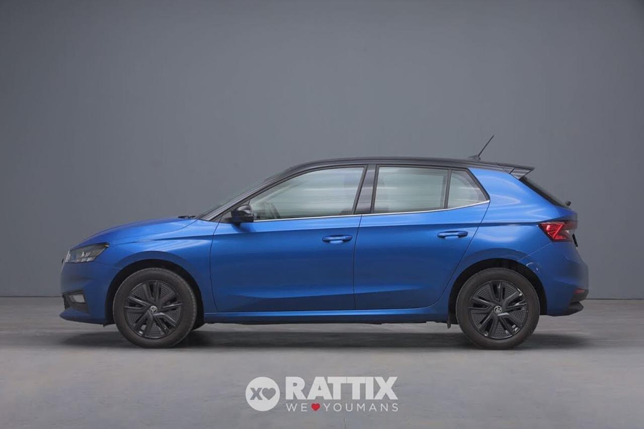 Skoda Skoda Fabia usata 11