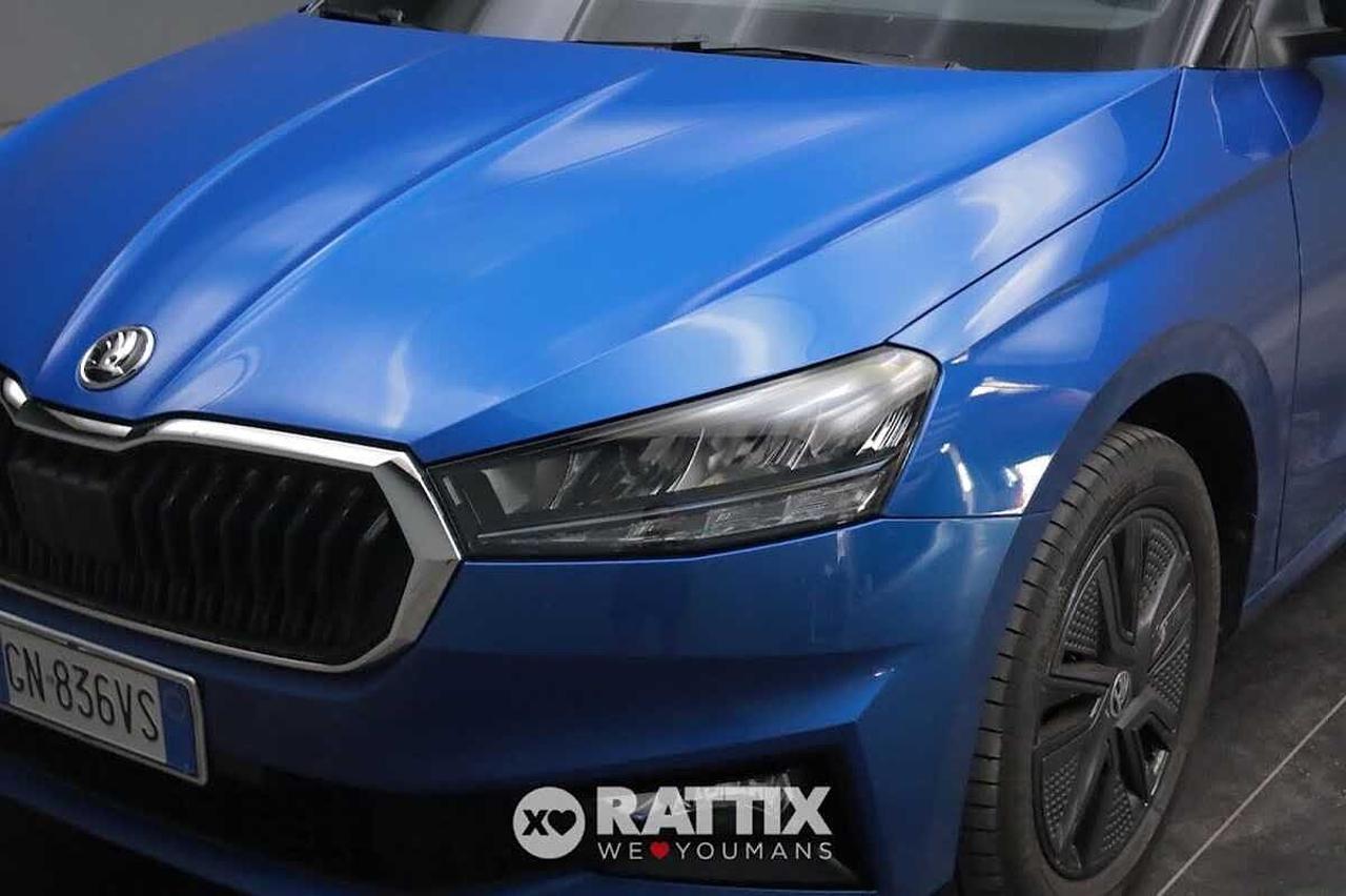 Skoda Skoda Fabia usata 19