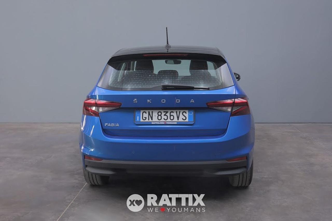 Skoda Skoda Fabia usata 21