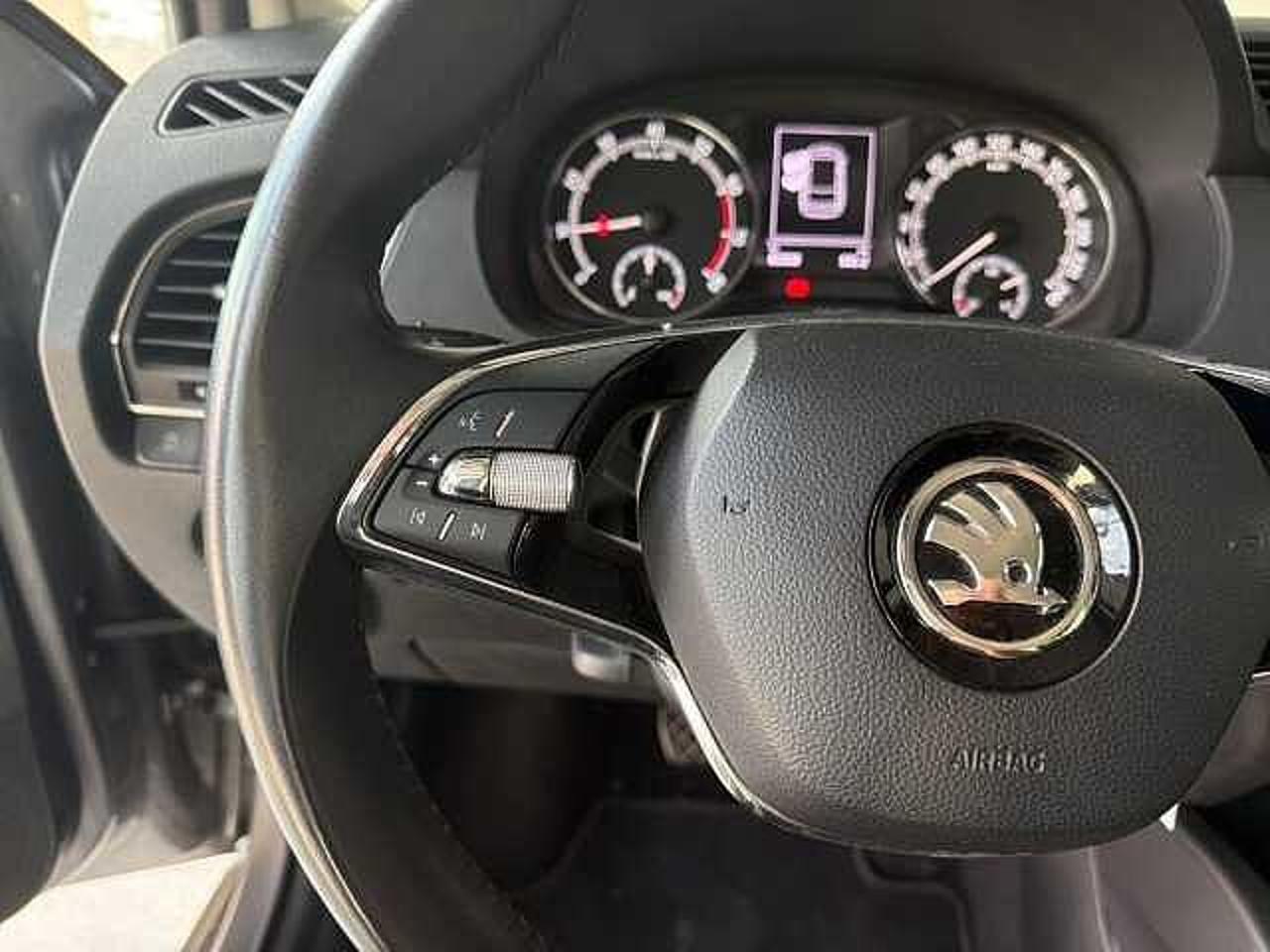 Skoda Skoda Fabia usata 12