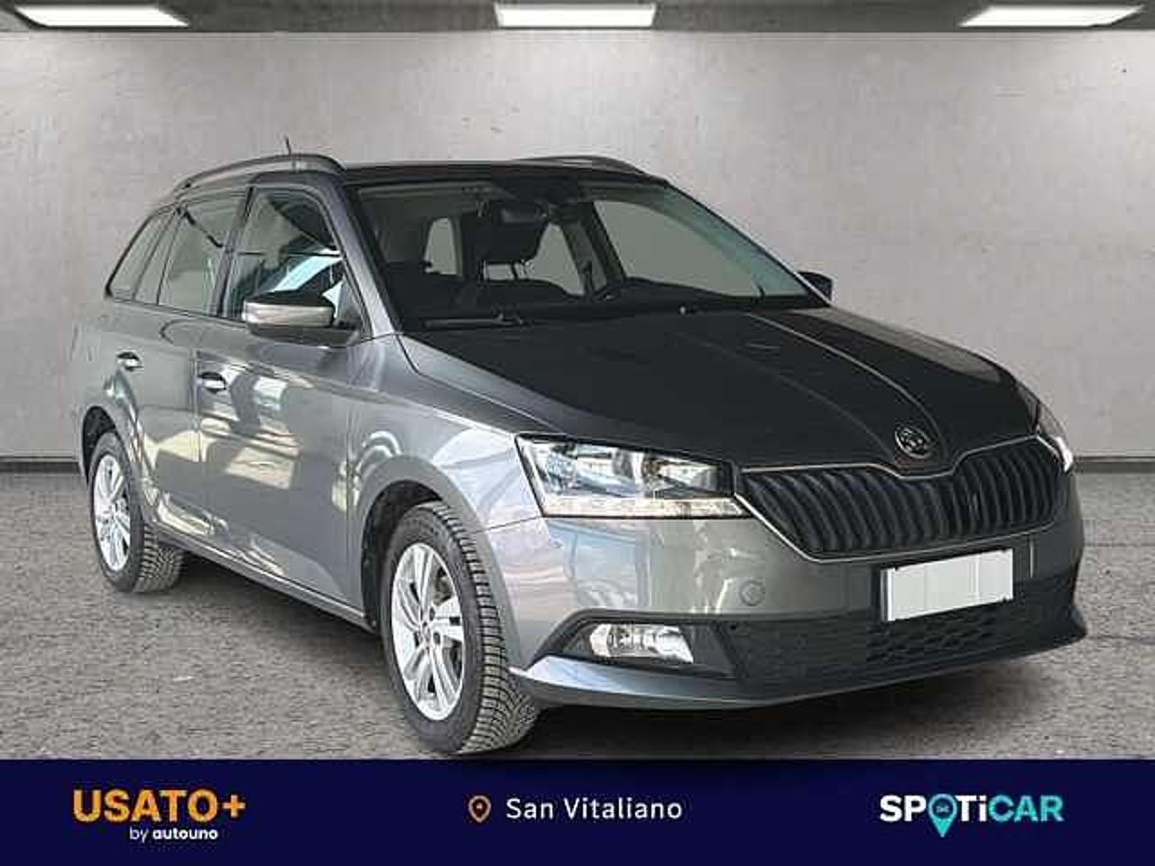 Skoda Skoda Fabia usata 19