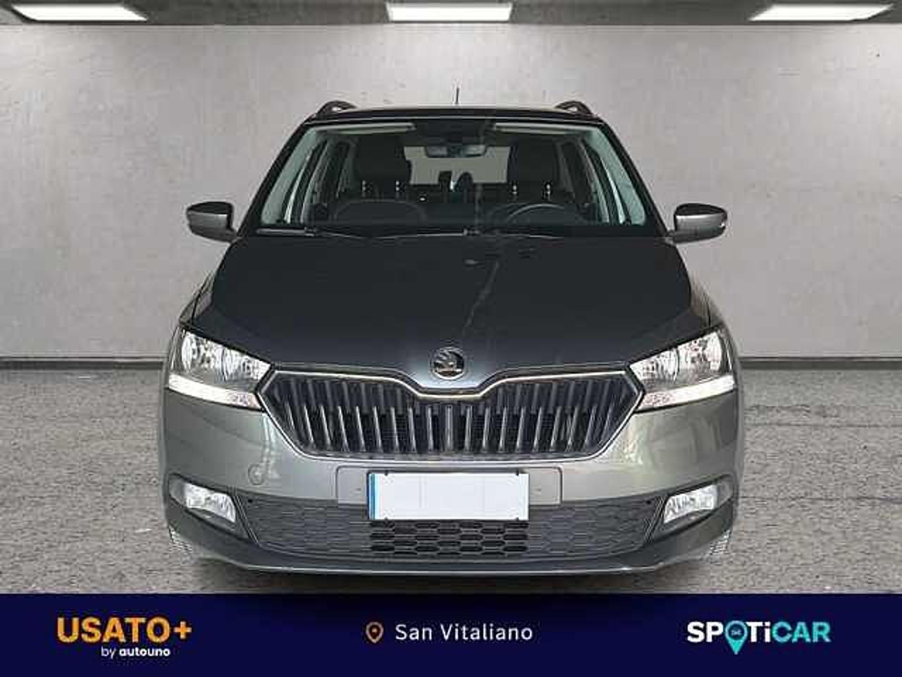 Skoda Skoda Fabia usata 20