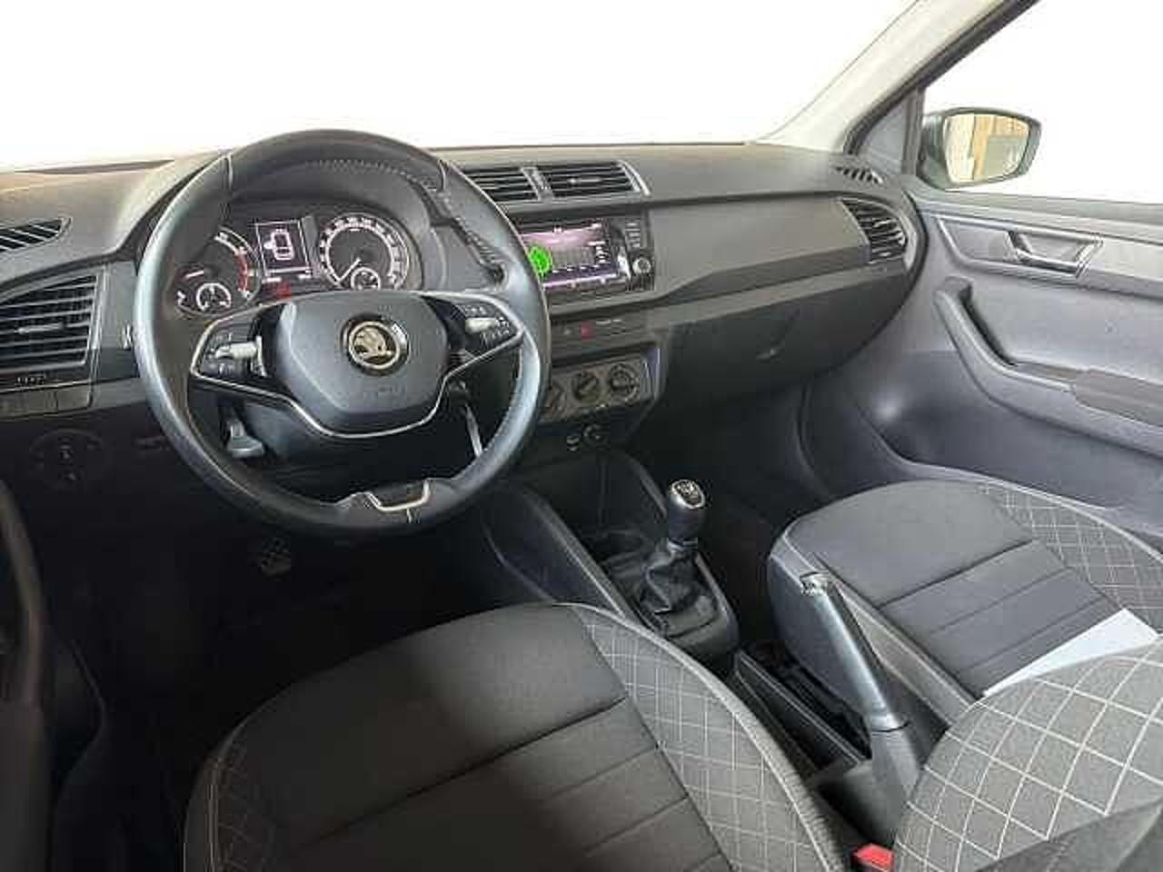 Skoda Skoda Fabia usata 21