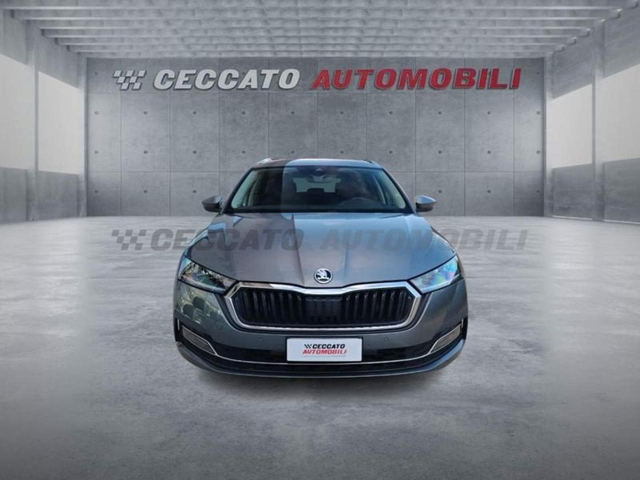 Skoda Skoda Felicia usata 19