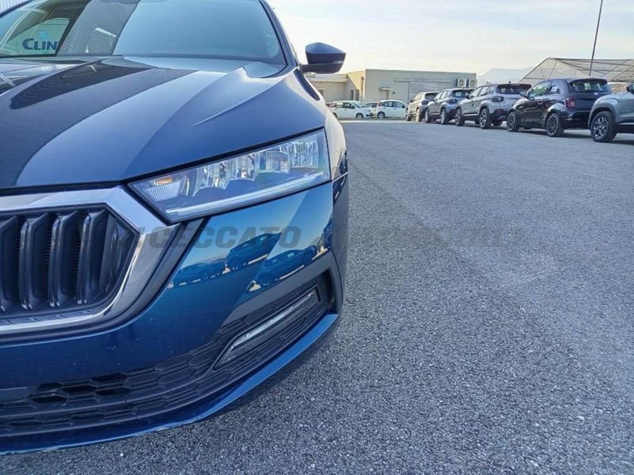 Skoda Skoda Felicia usata, con Rivestimento interno