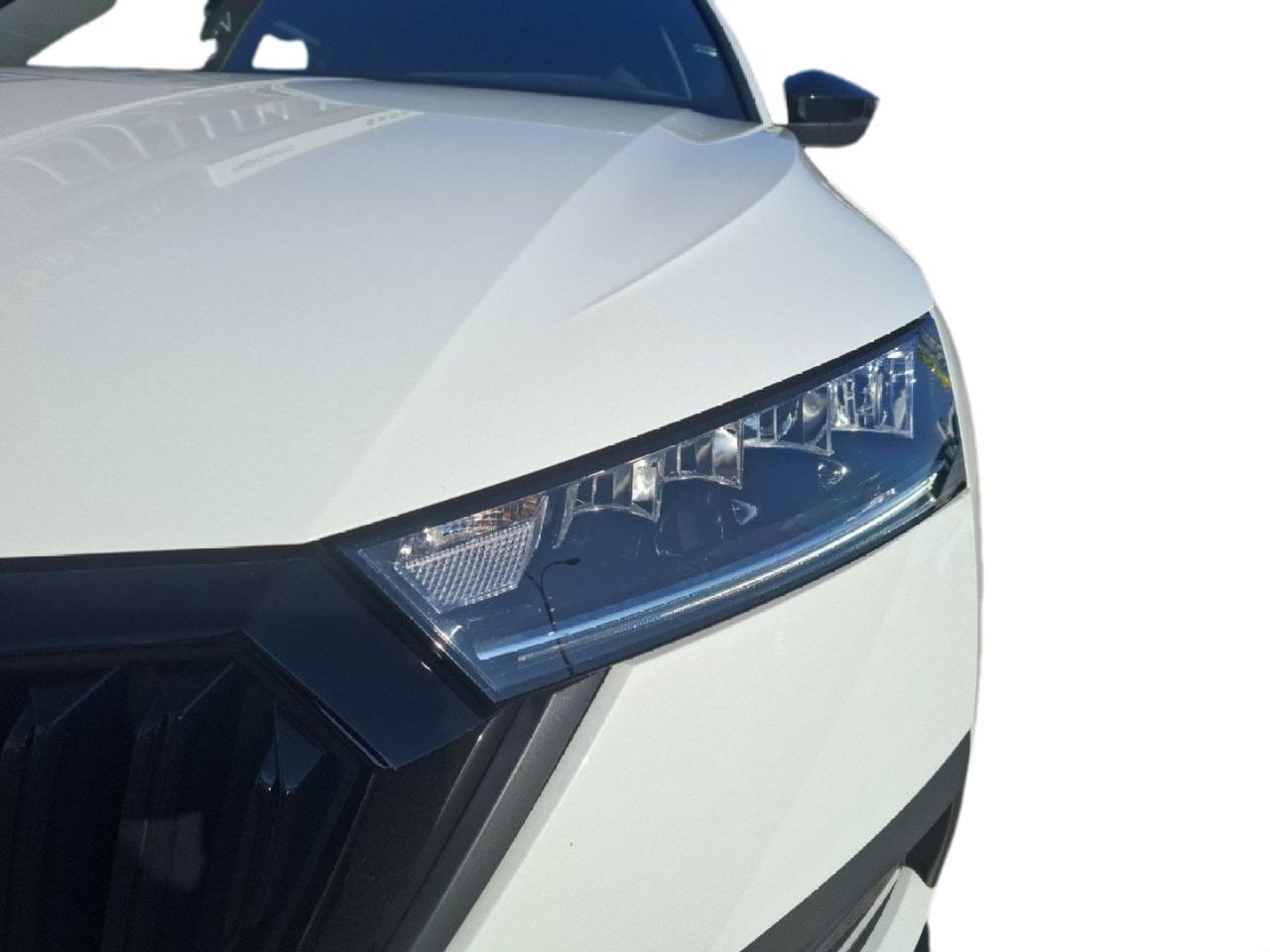 Skoda Skoda Felicia usata 27