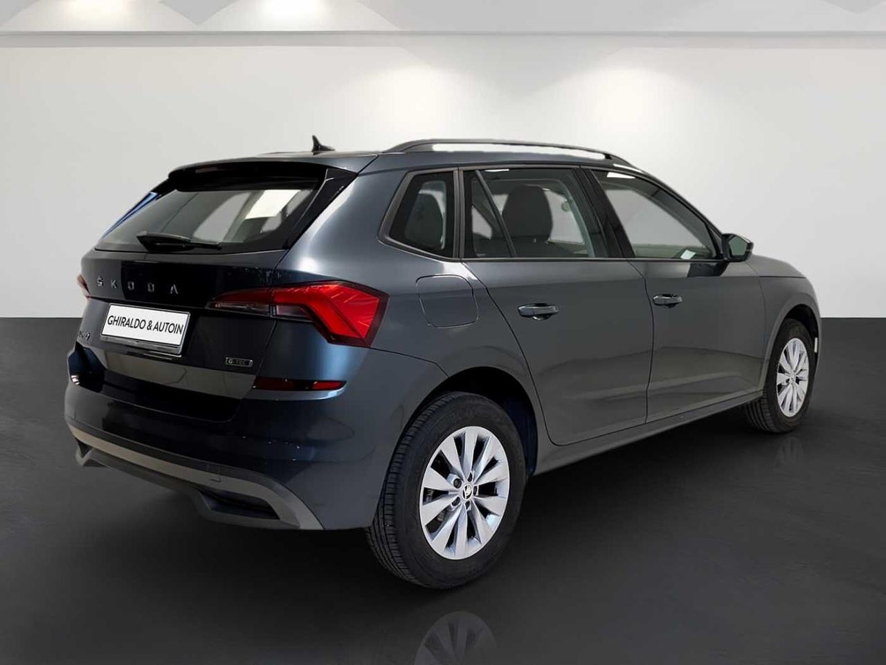 Skoda Skoda Kamiq usata, con esp