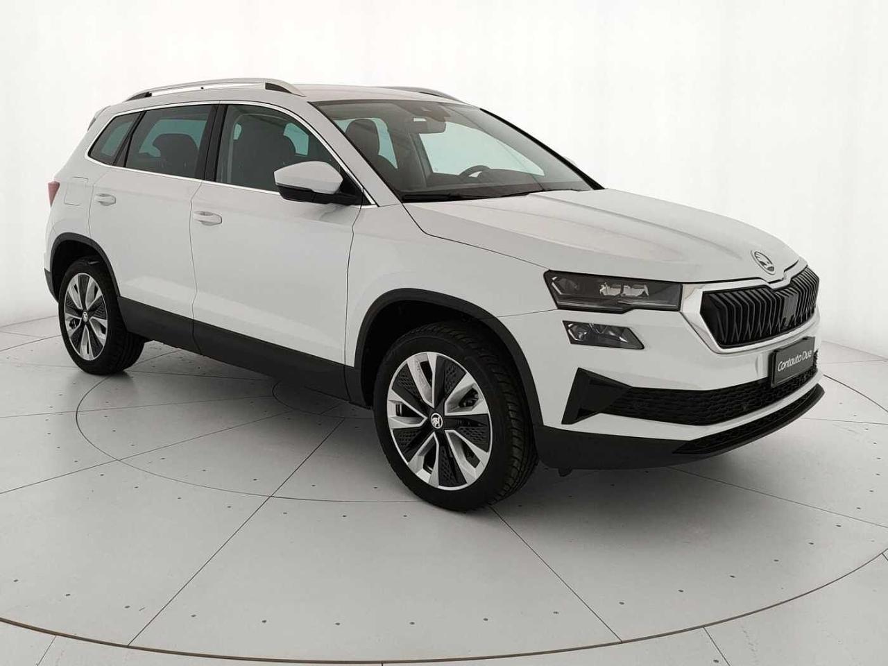 Skoda Skoda Karoq usata, con cerchi in lega leggera