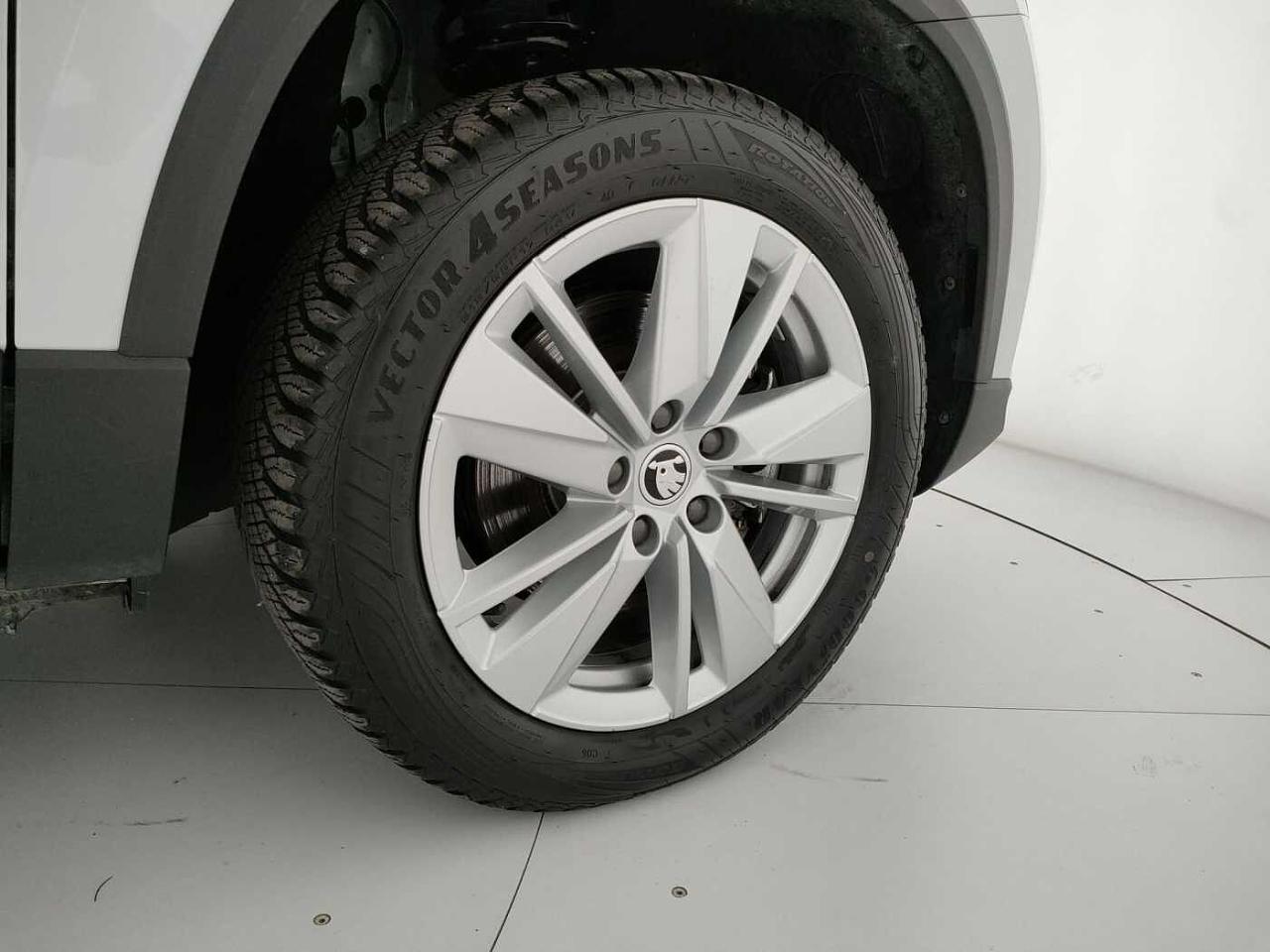 Skoda Skoda Karoq usata, con 8 altoparlanti
