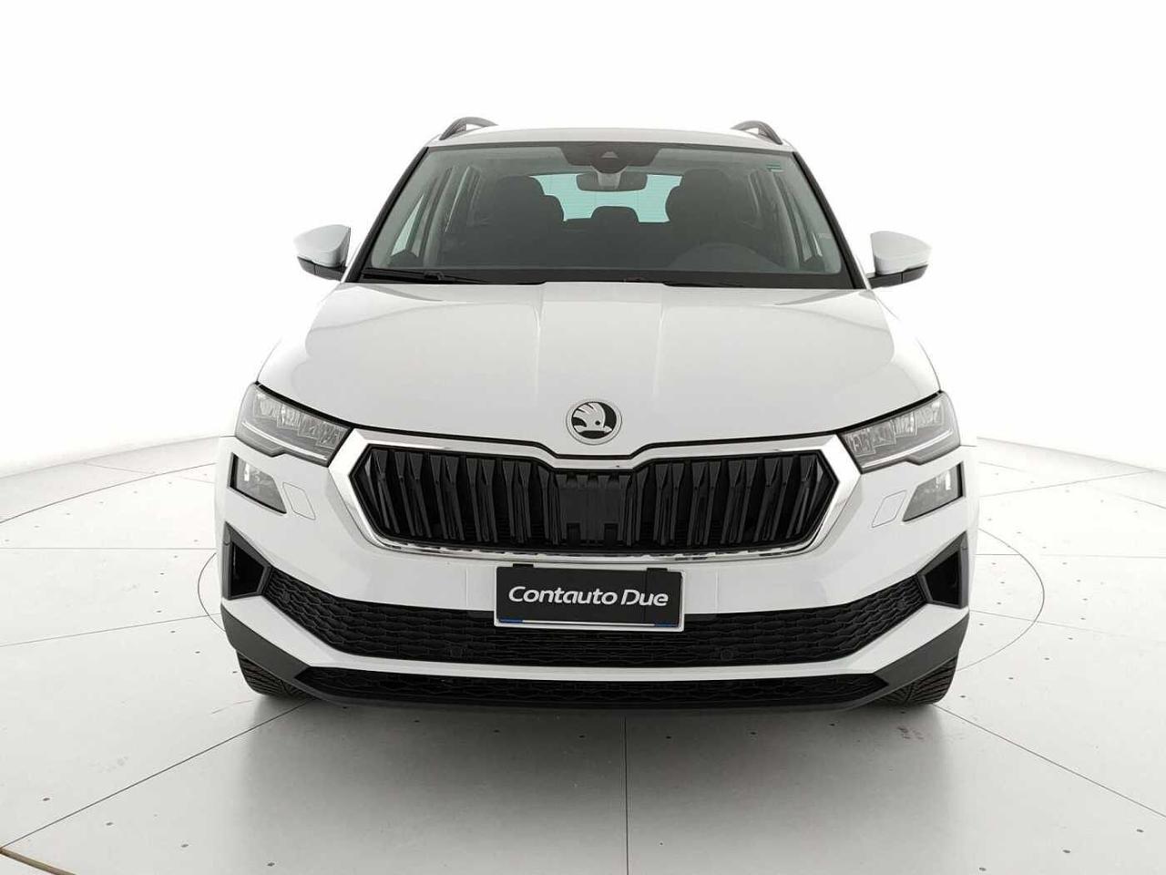 Skoda Skoda Karoq usata, con alzacristalli elettrici anteriori e posteriori con sicurezza per bambini
