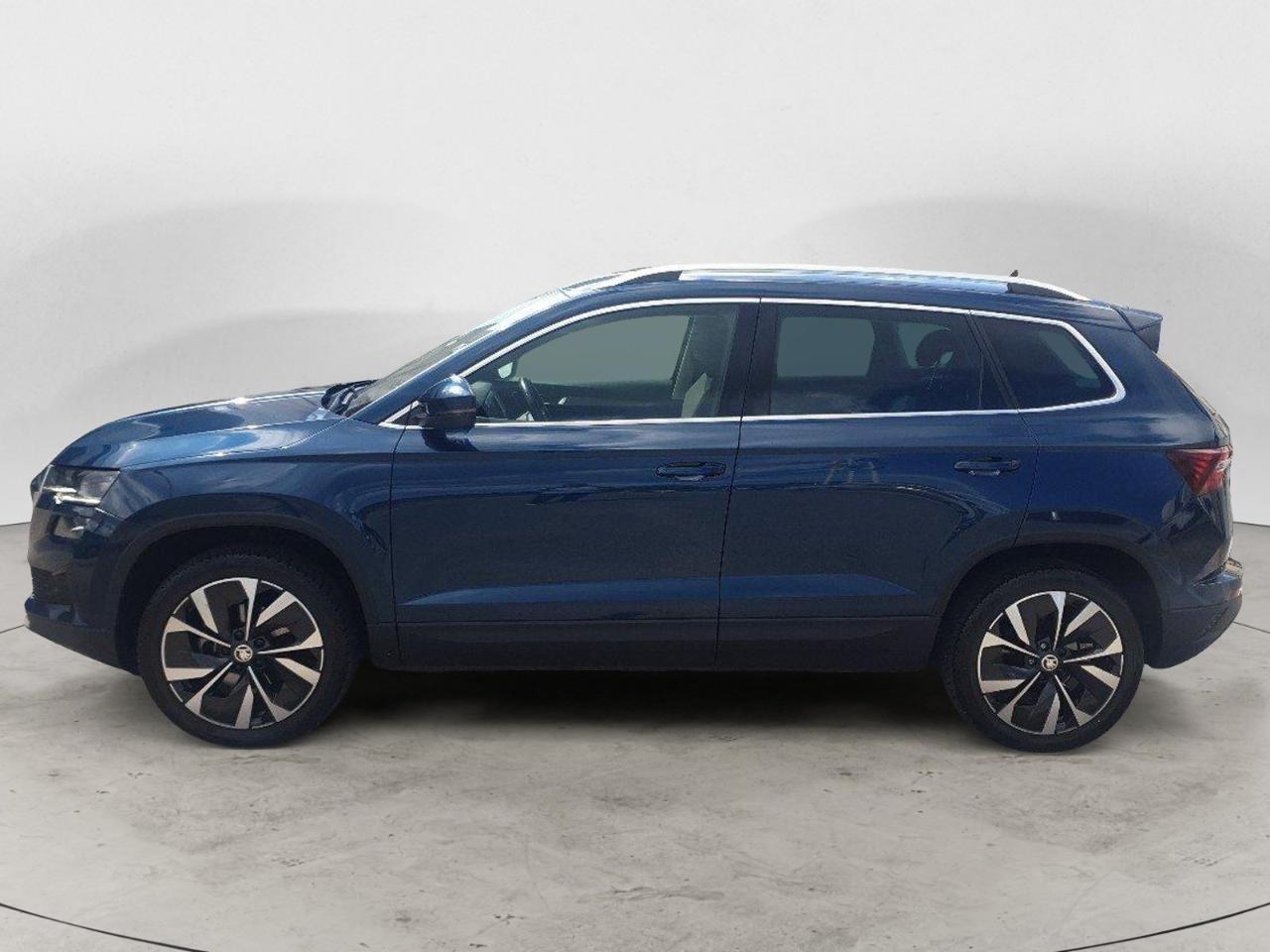 Skoda Skoda Karoq usata 11