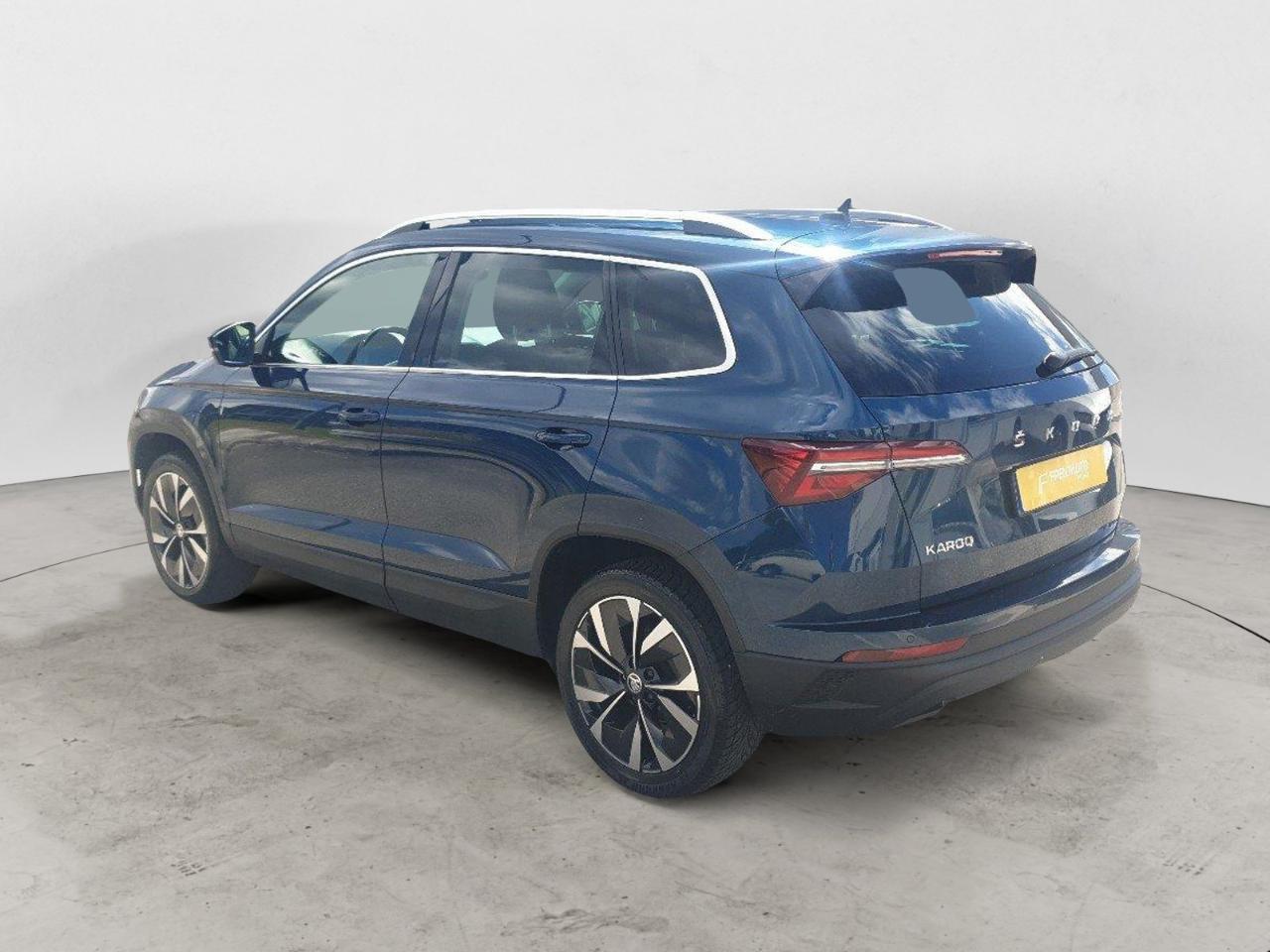 Skoda Skoda Karoq usata 19