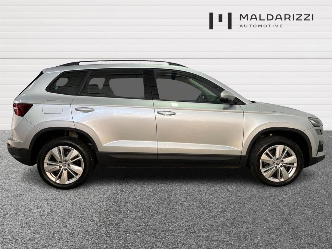 Skoda Skoda Karoq usata, con GPS