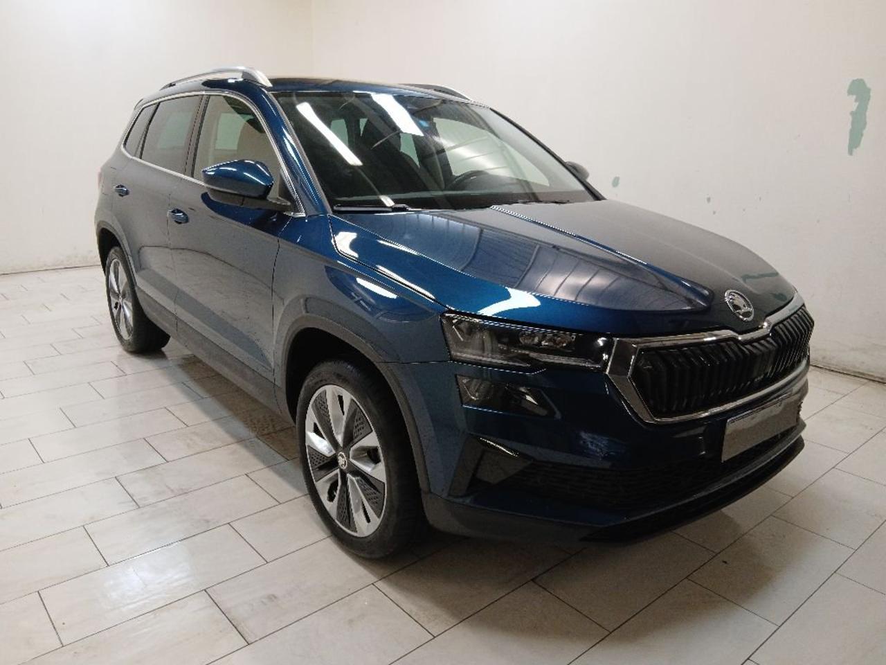 Skoda Skoda Karoq usata, con Rivestimento interno