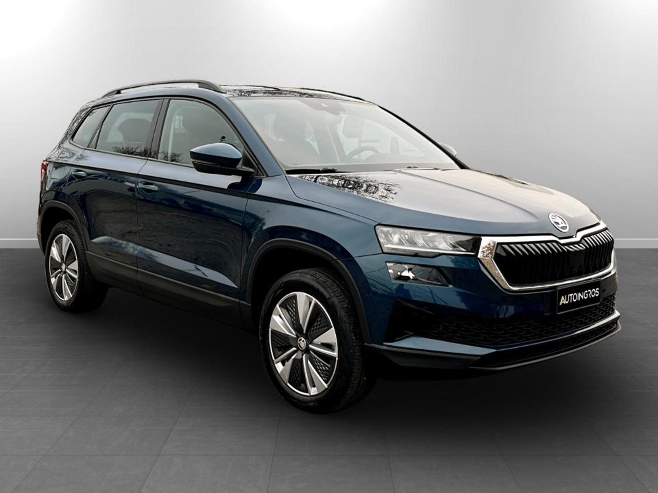 Skoda Skoda Karoq usata 13
