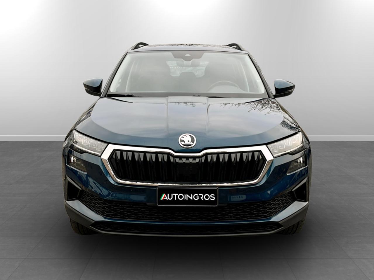 Skoda Skoda Karoq usata 14