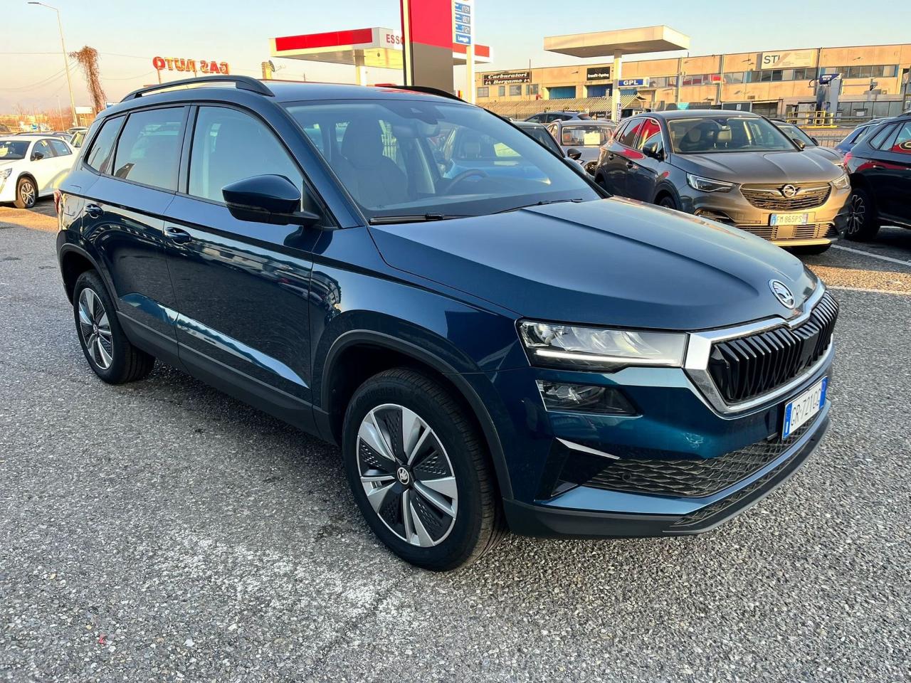 Skoda Skoda Karoq usata 13