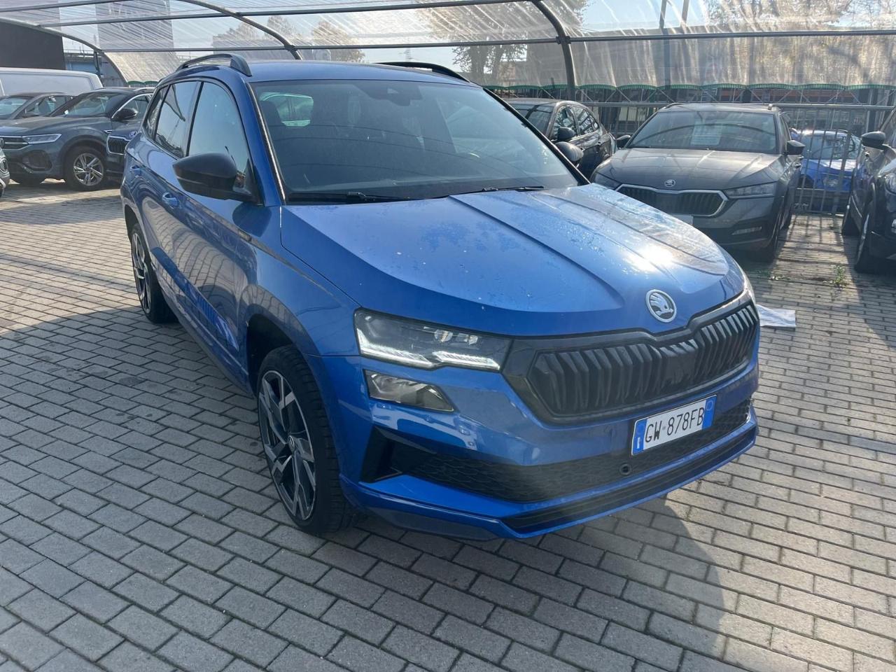 Skoda Skoda Karoq usata 13