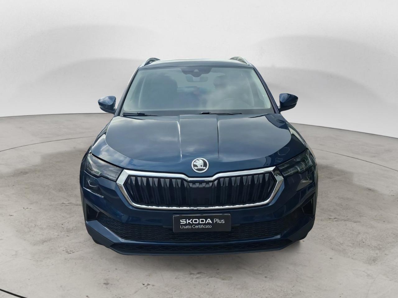 Skoda Skoda Karoq usata 23