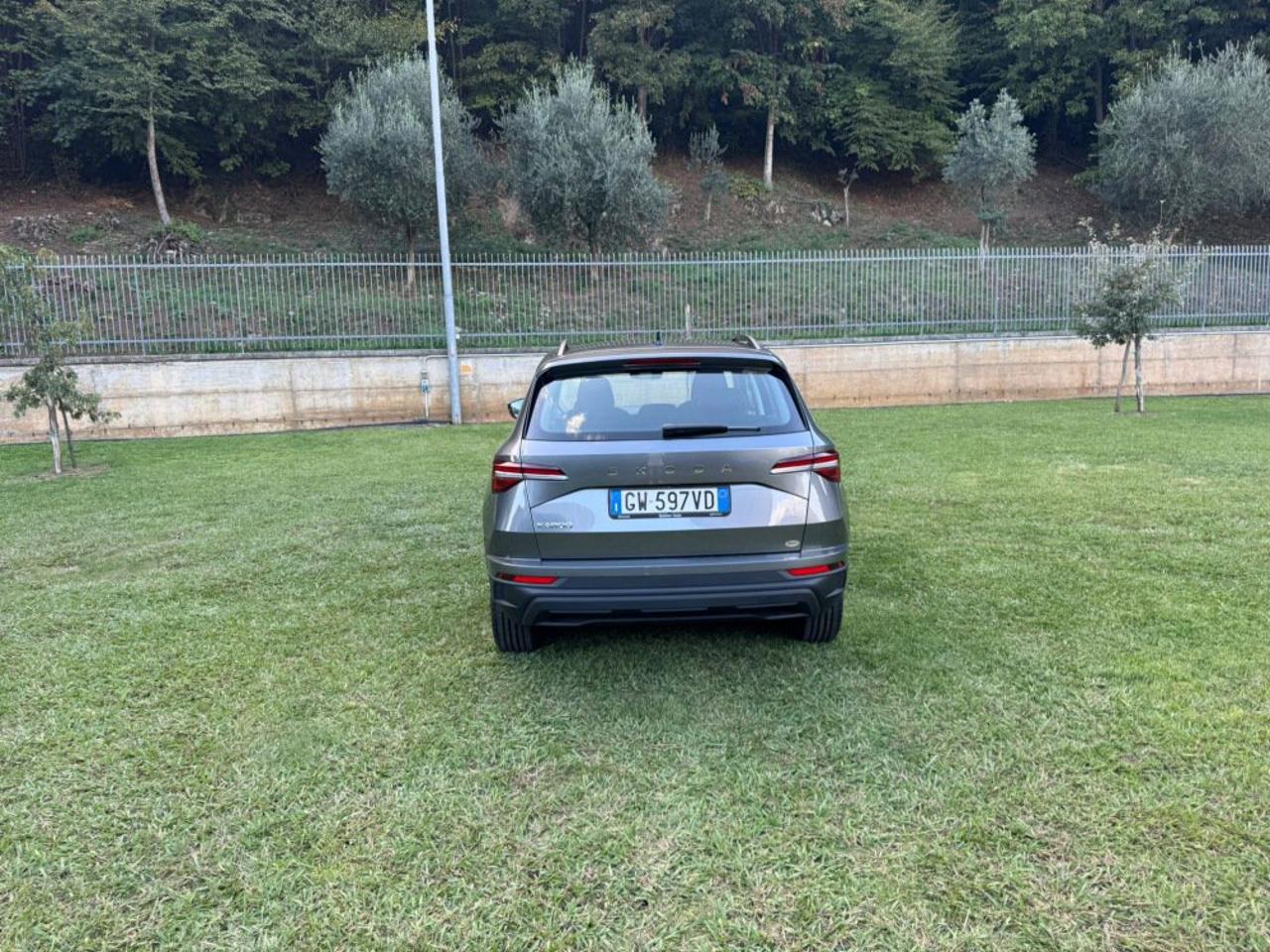 Skoda Skoda Karoq usata 2