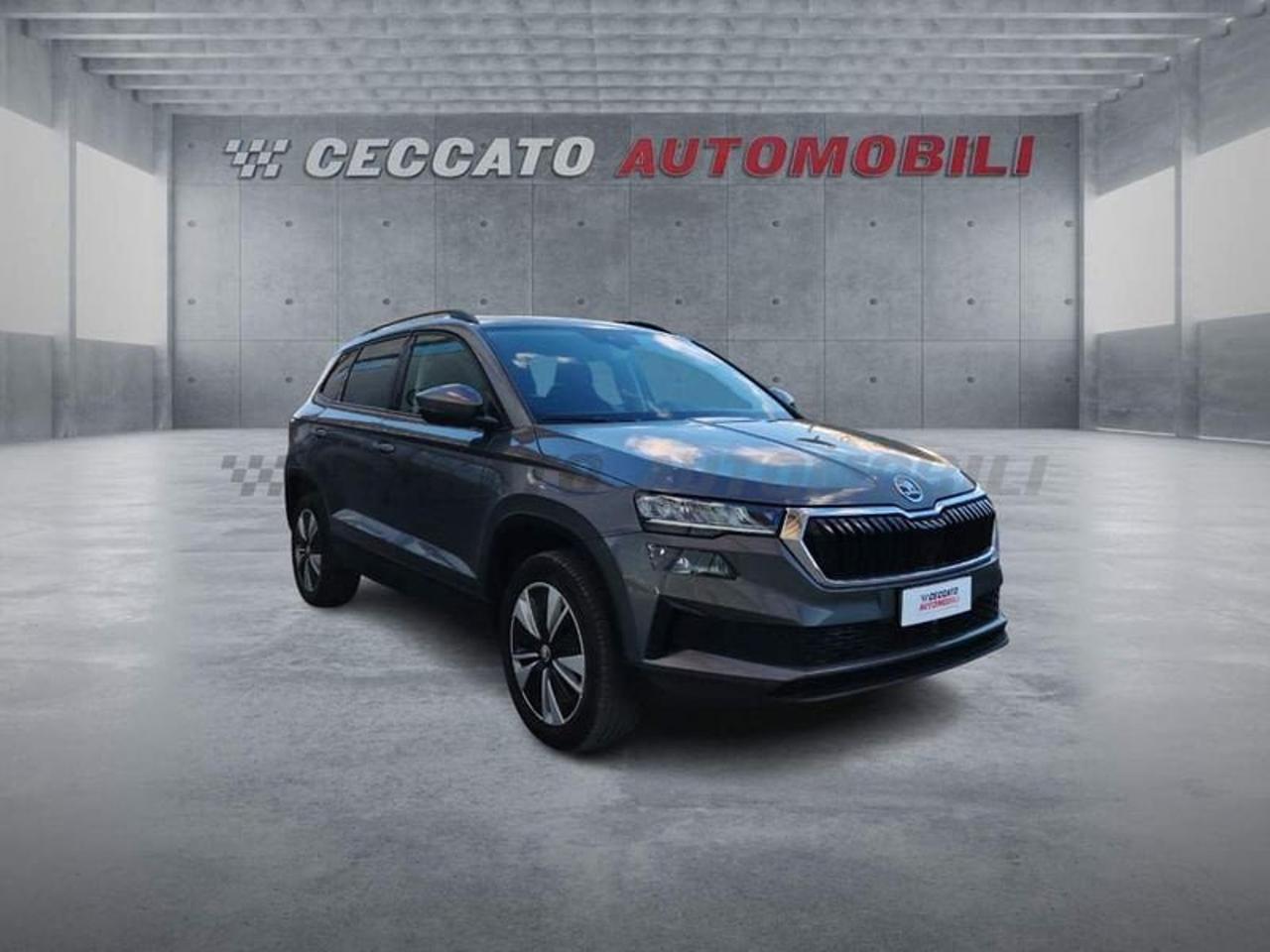 Skoda Skoda Karoq usata 7
