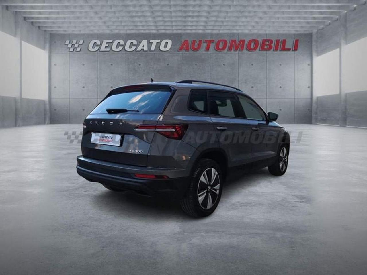 Skoda Skoda Karoq usata 8
