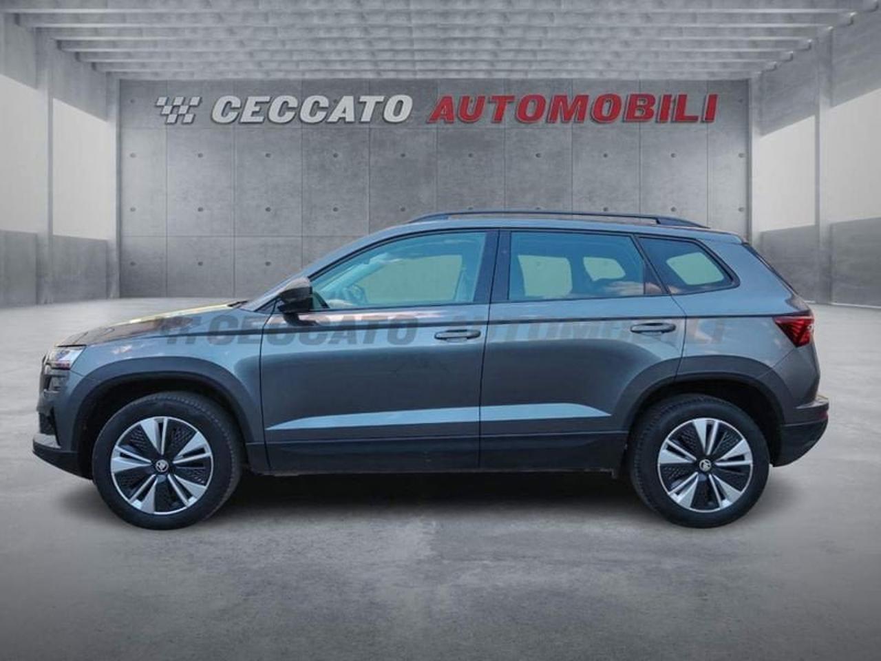 Skoda Skoda Karoq usata 11