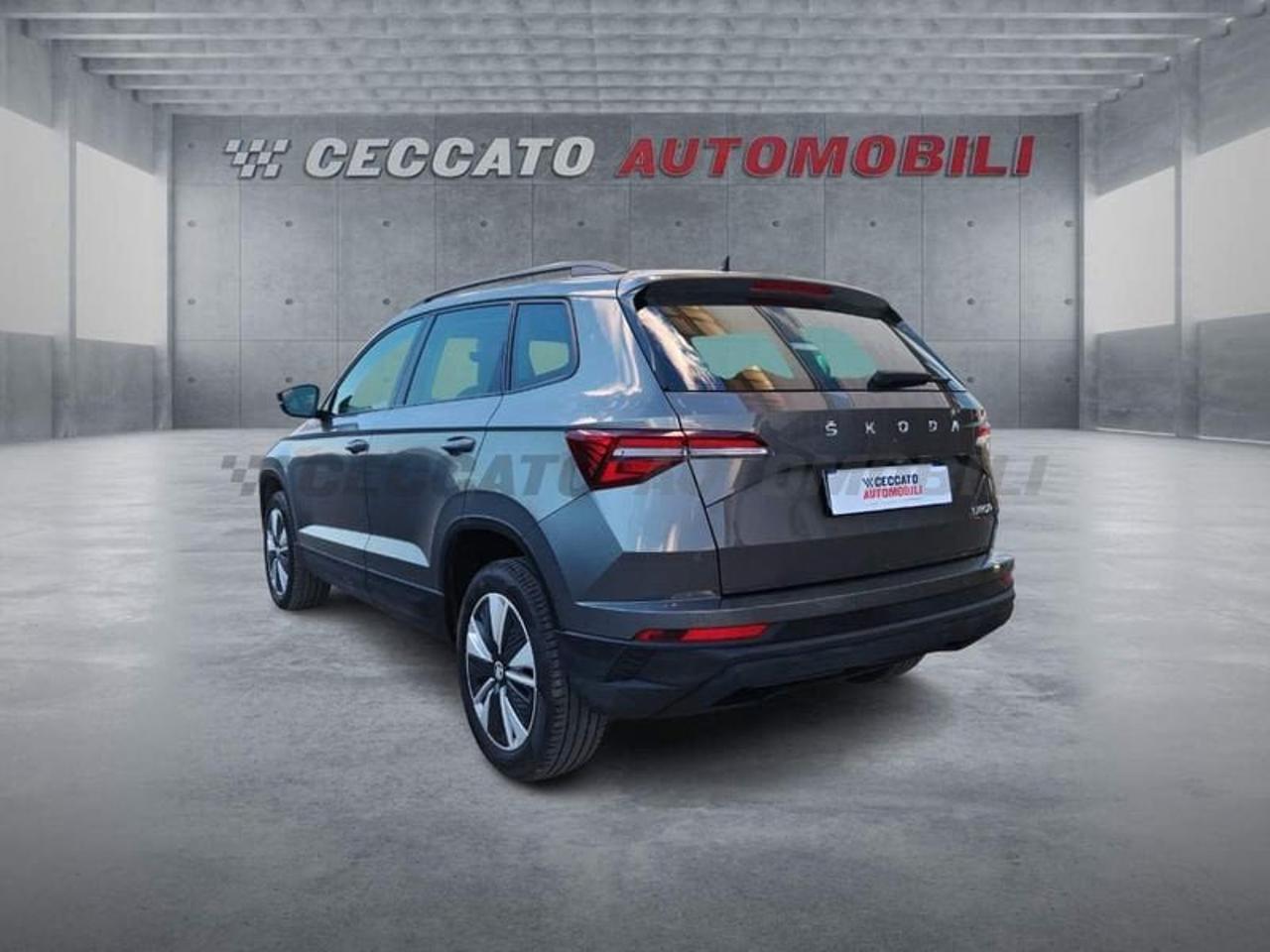 Skoda Skoda Karoq usata 17