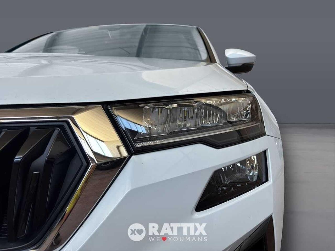 Skoda Skoda Karoq usata 13