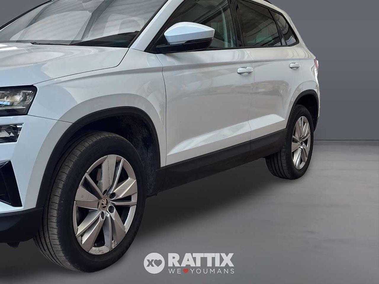 Skoda Skoda Karoq usata 14