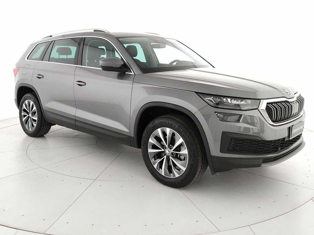 Skoda Skoda Kodiaq usata, con Battitacco decorativi anteriori