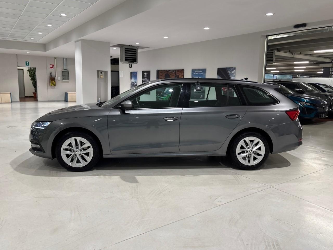 Skoda Skoda Octavia usata 15