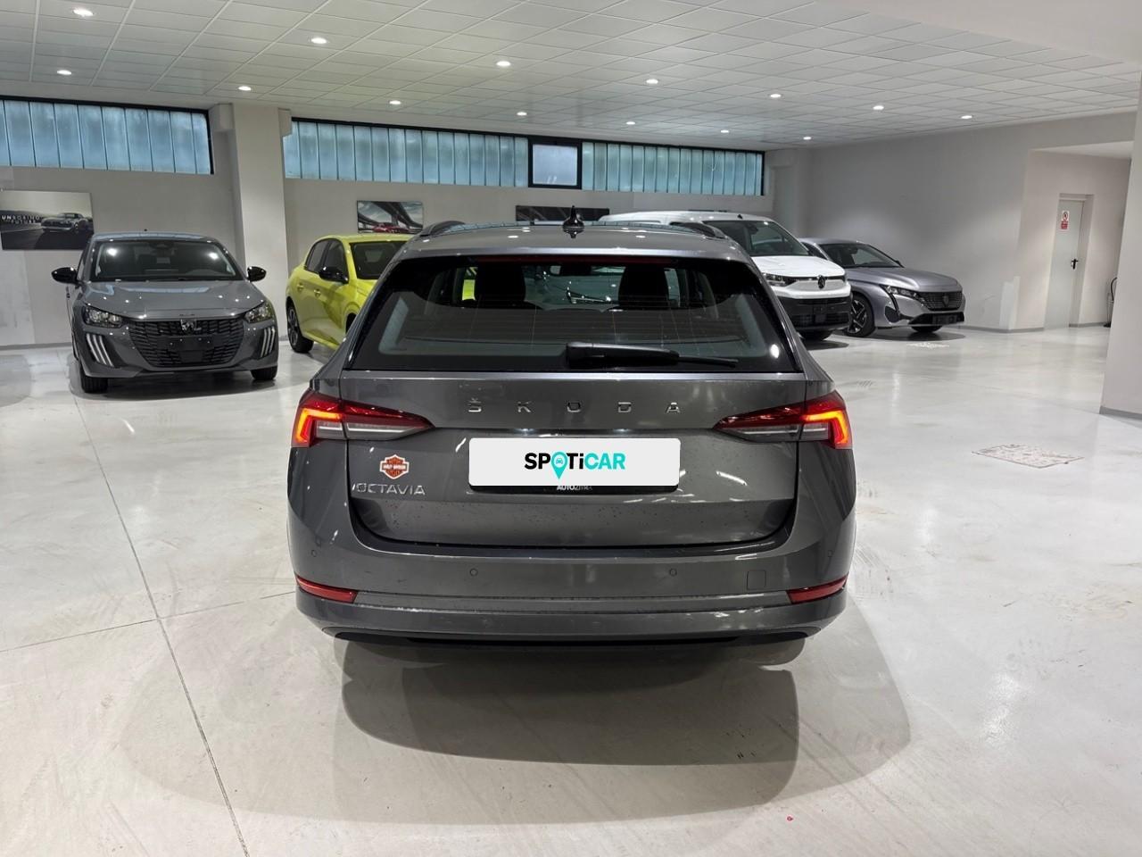 Skoda Skoda Octavia usata 16