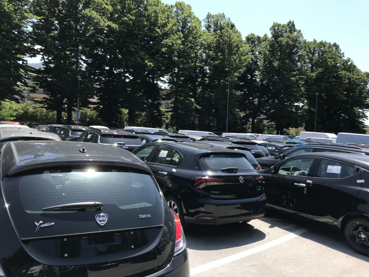 Skoda Skoda Scala usata 9