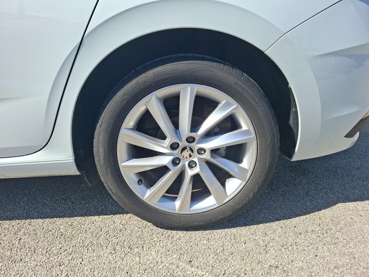 Skoda Skoda Scala usata, con fendinebbia