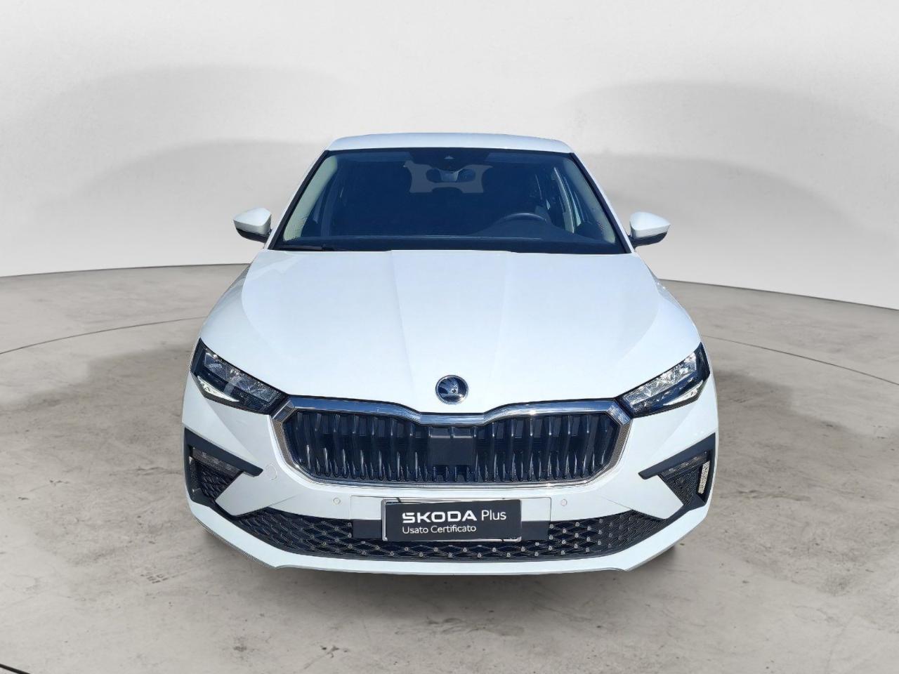 Skoda Skoda Scala usata 21