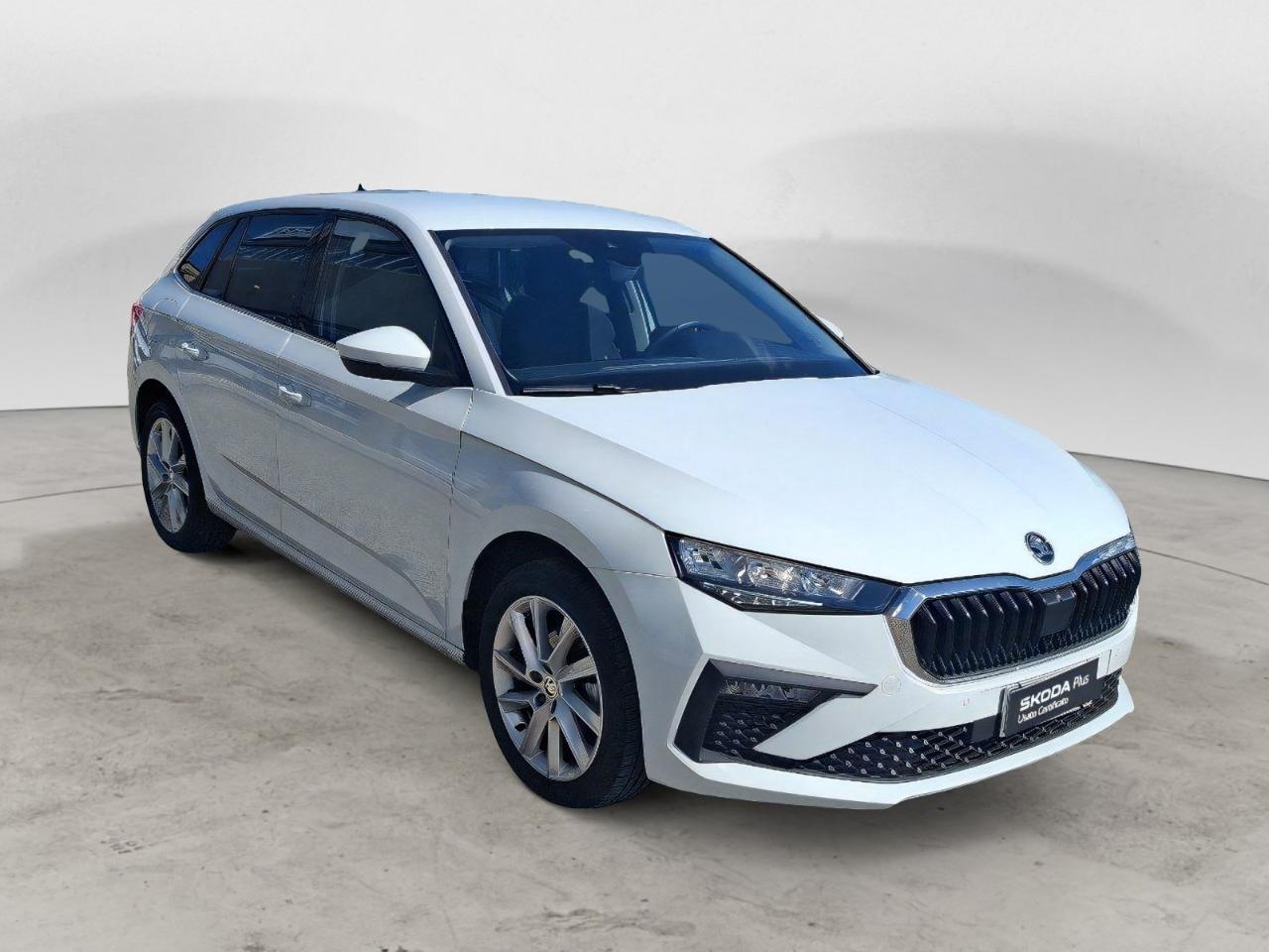 Skoda Skoda Scala usata 24