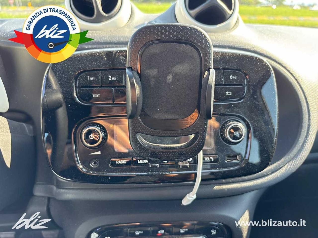 Smart Smart Forfour usata, con fari fendinebbia