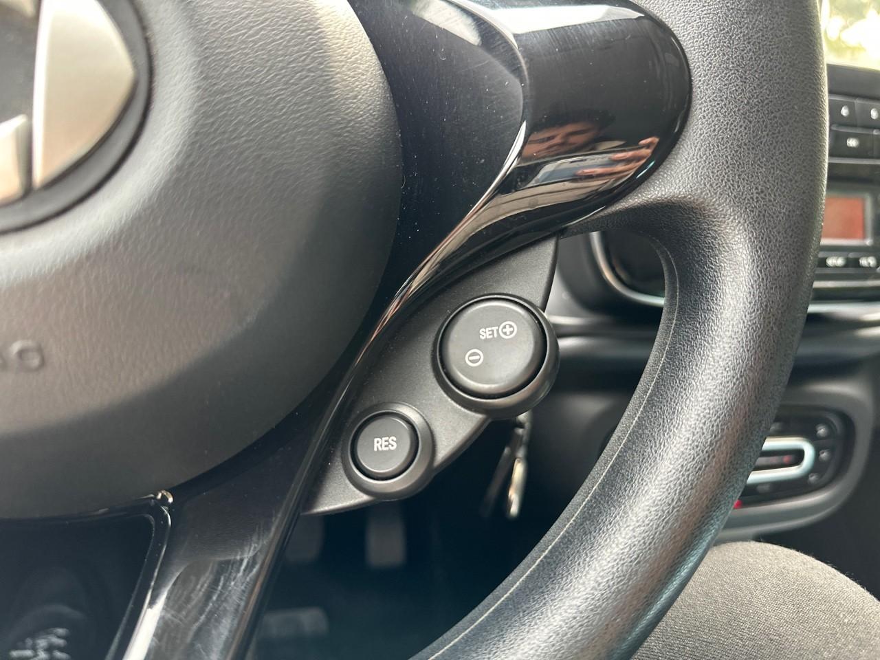 Smart Smart Forfour usata, con antenna