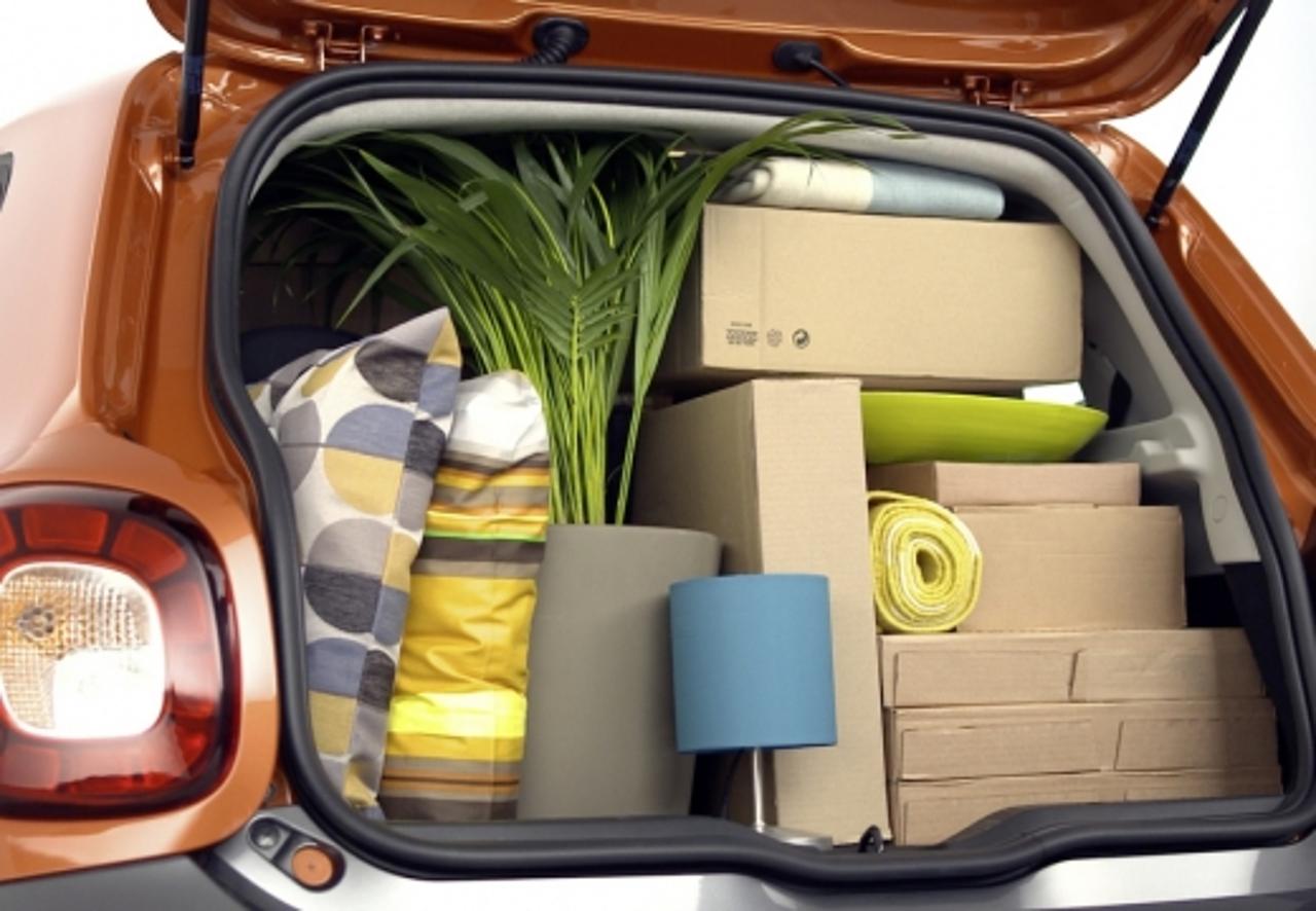 Smart Smart Forfour usata 13