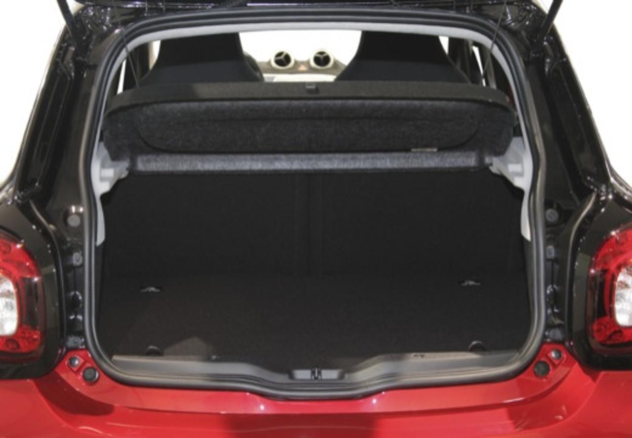 Smart Smart Forfour usata 14