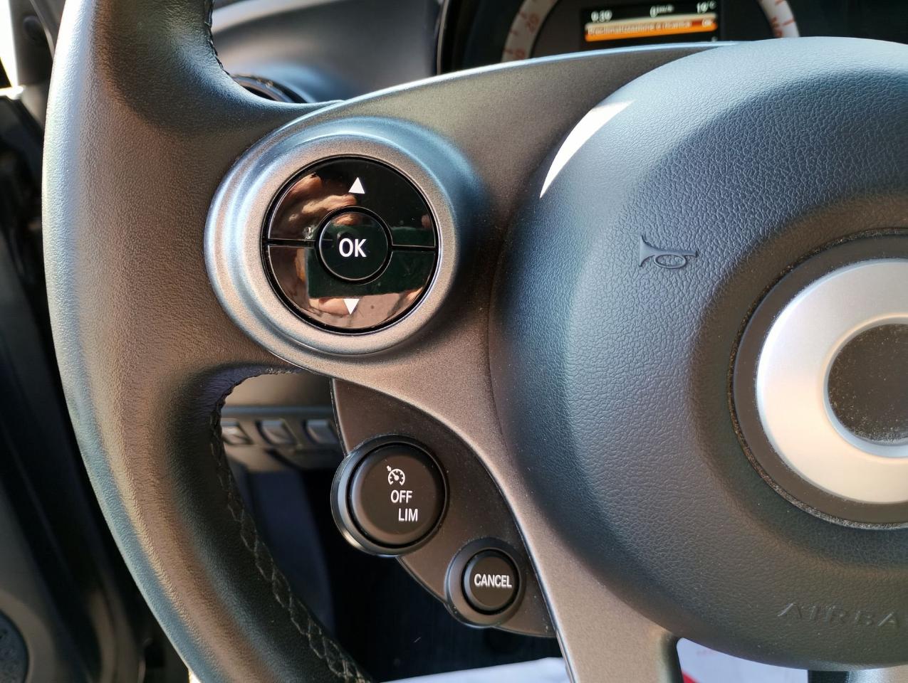 Smart Smart Fortwo usata, con cruise control