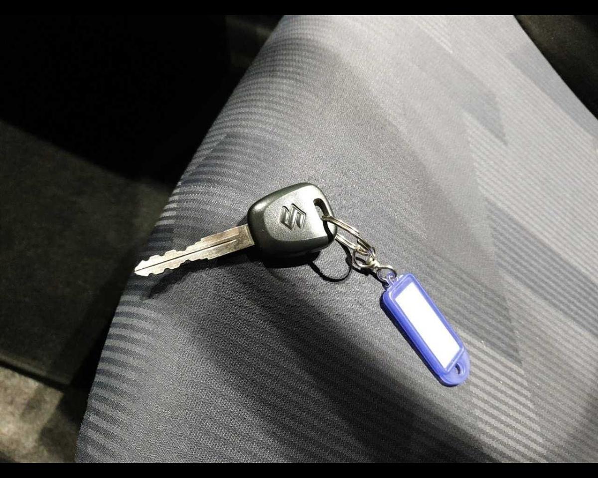 Suzuki Suzuki Alto usata 14