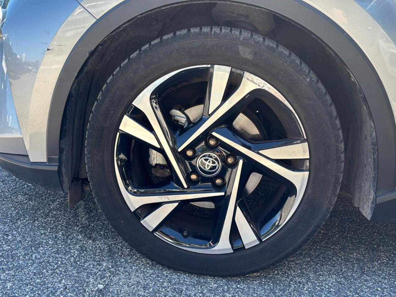 Toyota Toyota C-HR usata 13
