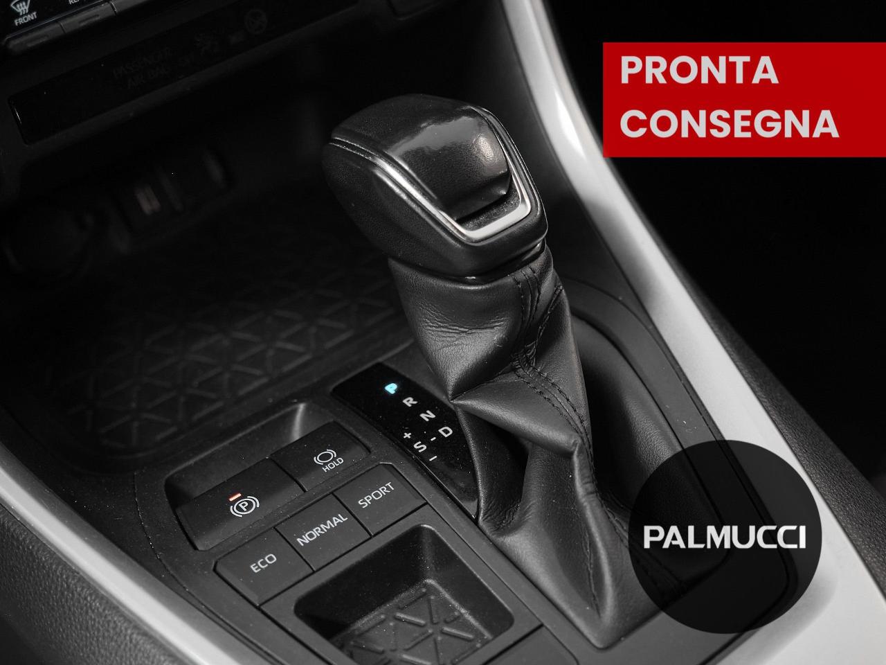 Toyota Toyota Rav4 usata, con GPS