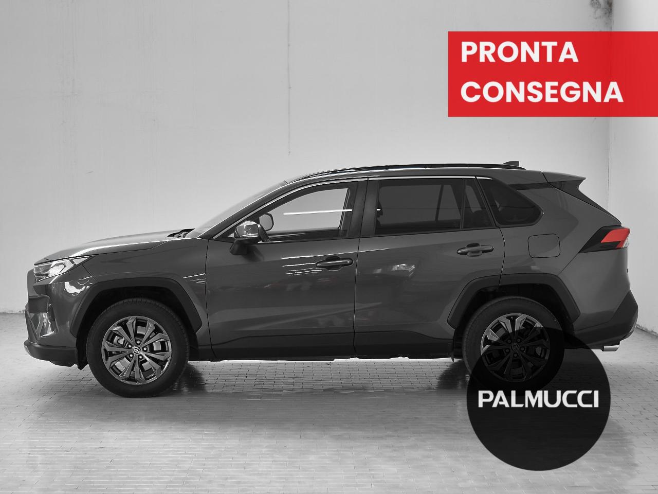 Toyota Toyota Rav4 usata 17