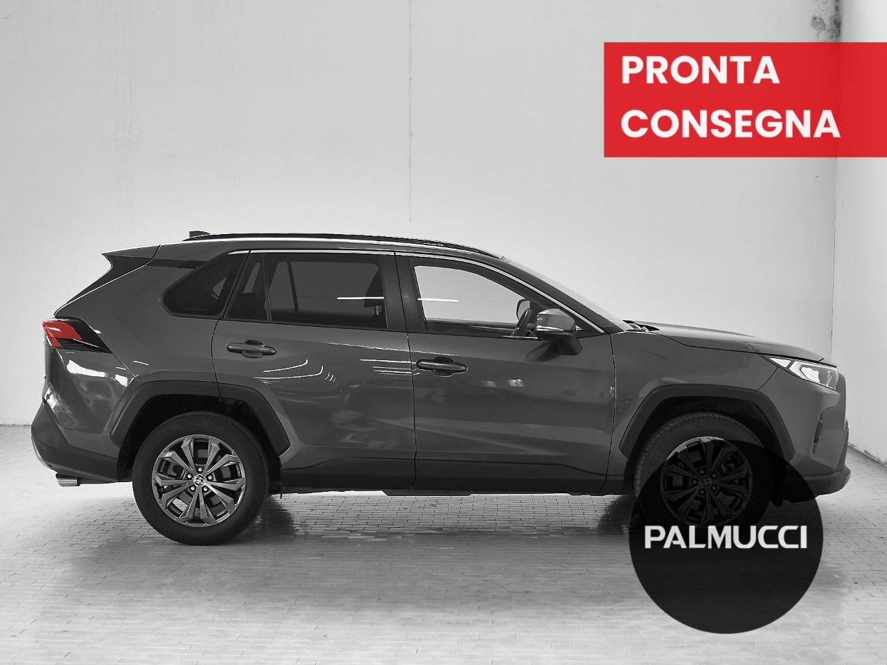 Toyota Toyota Rav4 usata 18