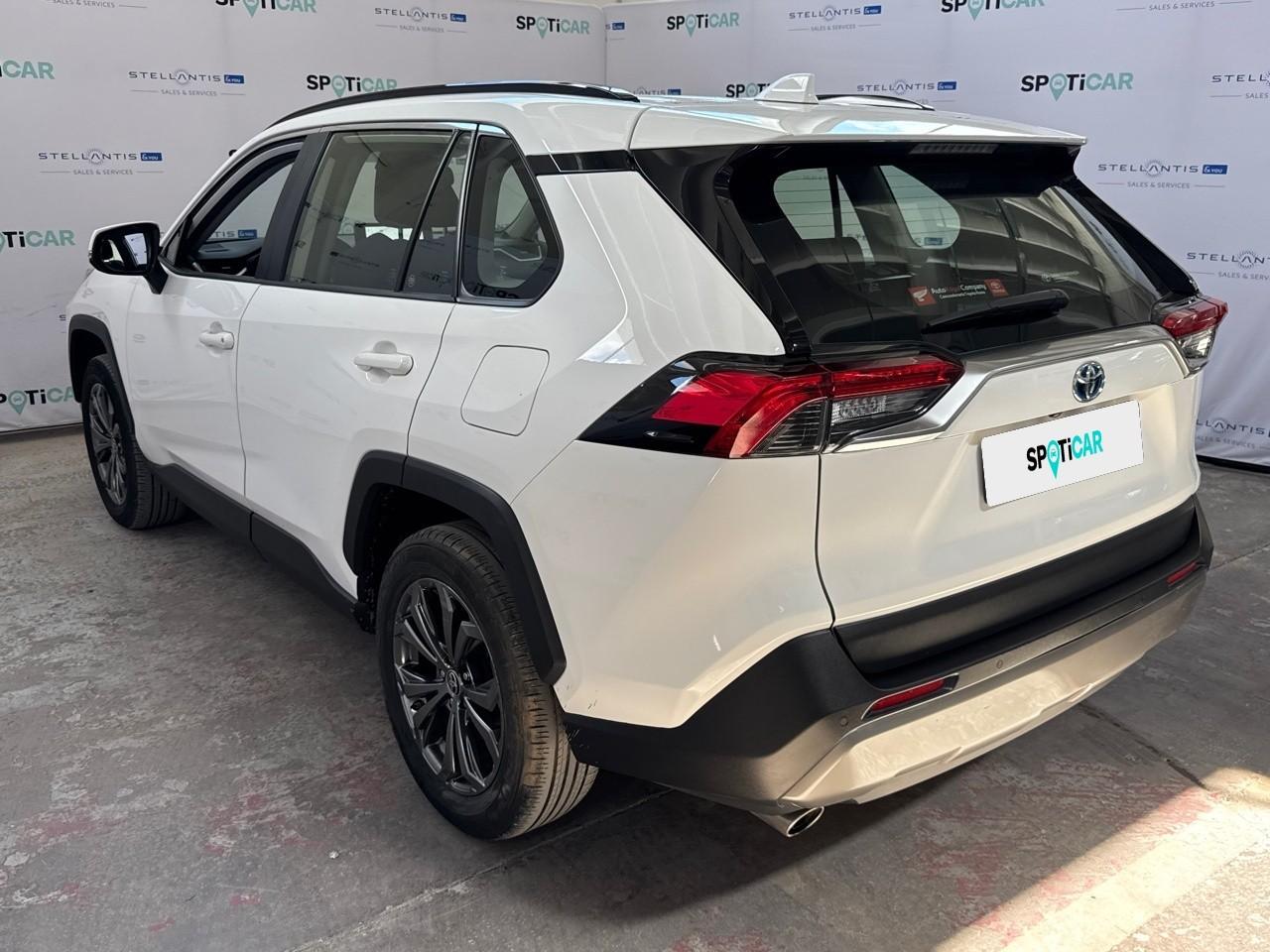 Toyota Toyota Rav4 usata 19